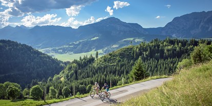 Mountainbike Urlaub - Umgebungsschwerpunkt: Berg - Gosau - Servus die Wadln - Hotel Zum Jungen Römer