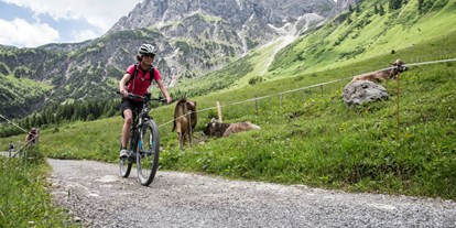 Mountainbike Urlaub - WLAN - Vorarlberg - Alpengasthof Hörnlepass ***
