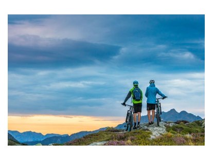 Mountainbike Urlaub - Umgebungsschwerpunkt: Berg - Gosau - Hotel-Pension Bruckreiterhof