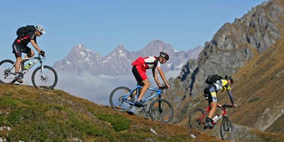 Mountainbike Urlaub - Umgebungsschwerpunkt: Berg - Gosau - ARX Boutiquehotel