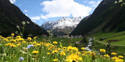 Mountainbike Urlaub - organisierter Transport zu Touren - Tiroler Oberland - Pitztal Panorama - Pension Dorfplatzl