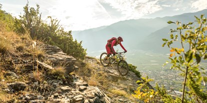 Mountainbike Urlaub - Hunde: auf Anfrage - Südtirol - Hotel Elisabeth