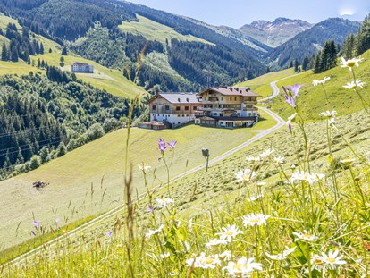 Mountainbike Urlaub - WLAN - Österreich - Urlaub auf dem Bauernhof - auch dies ist bei uns möglich - Ferienwohnungen Perfeldhof