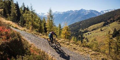 Mountainbike Urlaub - Pools: Außenpool nicht beheizt - Österreich - Mountainbiken Richtung Steineralm - Wander- & Wellnesshotel Gassner