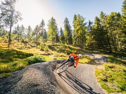 Mountainbike Urlaub - Bikeverleih beim Hotel: E-Mountainbikes - Österreich - Flow Country Trail - Trattlers Hof-Chalets