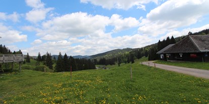 Mountainbike Urlaub - MTB-Region: DE - Schwarzwald - Steinen (Landkreis Lörrach) - Landschaft in der Umgebung - H&P Residenz Grafenmatt