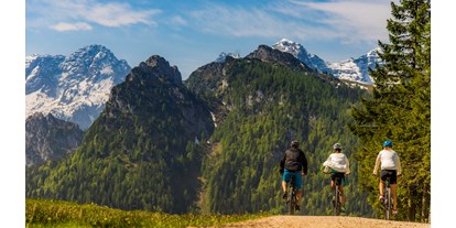 Mountainbike Urlaub - Pools: Außenpool beheizt - Österreich - E-Bike - Familien und Vitalhotel Mühlpointhof ***S