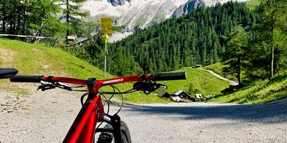 Mountainbike Urlaub - barrierefrei - Gosau - Hotel Annelies