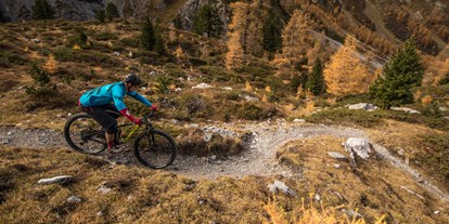 Mountainbike Urlaub - Bikeverleih beim Hotel: E-Mountainbikes - Davos Wiesen - Traumhafter Downhill - Hotel Dischma