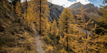 Mountainbike Urlaub - Haustrail - Graubünden - Traumhafte Landschaft Davos - Hotel Dischma