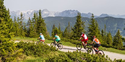 Mountainbike Urlaub - Bikeverleih beim Hotel: E-Mountainbikes - Flachau - © Salzburger Sportwelt/Coen Weesjes - Gut Weissenhof ****Superior
