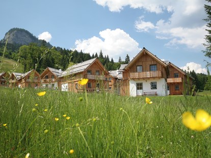 Mountainbike Urlaub - Hunde: auf Anfrage - Österreich - AlpenParks Hagan Lodge Altaussee