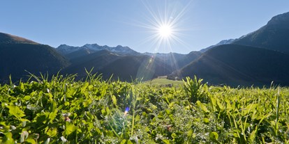 Mountainbike Urlaub - Fahrradraum: versperrbar - Trentino-Südtirol - Aussicht - Mountain Residence Montana