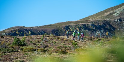 Mountainbike Urlaub - Bikeverleih beim Hotel: Mountainbikes - Hafling - Biketour - Feldhof DolceVita Resort