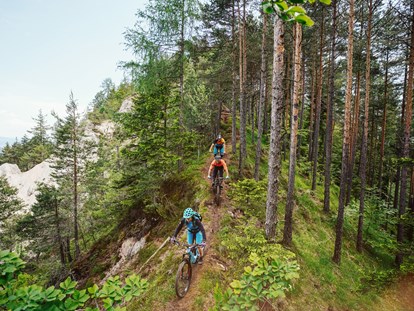 Mountainbike Urlaub - Umgebungsschwerpunkt: See - Österreich - Herausfordernde Routen - Ferienwohnungen und Seebungalows am Faaker See - Karglhof OG