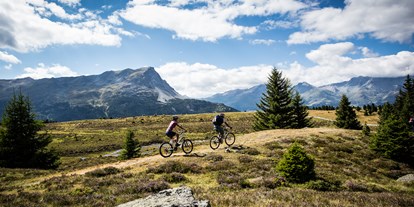 Mountainbike Urlaub - Bikeverleih beim Hotel: E-Mountainbikes - Österreich - Alpin ART & SPA Hotel Naudererhof