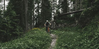 Mountainbike Urlaub - Pools: Innenpool - Schweiz - Valsana Hotel Arosa
