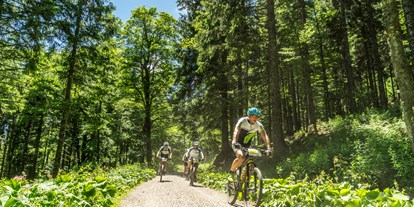 Mountainbike Urlaub - WLAN - Seelbach (Ortenaukreis) - Waldhotel am Notschreipass