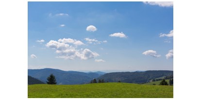 Mountainbike Urlaub - MTB-Region: DE - Schwarzwald - Steinen (Landkreis Lörrach) - Aussicht vom Radschert  - Waldhotel am Notschreipass