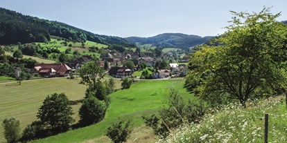 Mountainbike Urlaub - Verpflegung: Halbpension - Baden-Württemberg - Prinzbach - Das Dorf - Hotel Badischer Hof