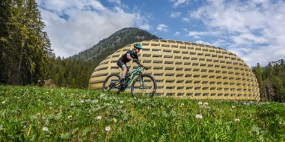 Mountainbike Urlaub - Bikeverleih beim Hotel: E-Mountainbikes - Davos Wiesen - AlpenGold Hotel Davos
