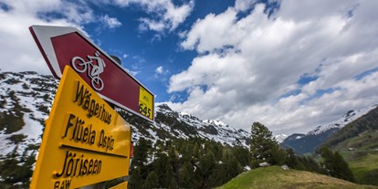 Mountainbike Urlaub - Bikeverleih beim Hotel: E-Mountainbikes - Davos Wiesen - AlpenGold Hotel Davos
