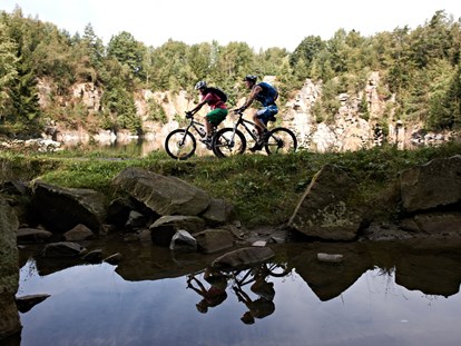 Mountainbike Urlaub - Wellnessbereich - Rinchnach - Mountainbiken - Hotel der Bäume