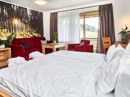 Mountainbike Urlaub - Preisniveau: günstig - Superior Doppelzimmer Linde - Hotel der Bäume