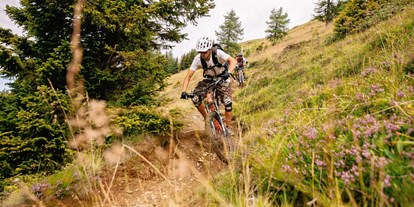Mountainbike Urlaub - organisierter Transport zu Touren - Feld am See - Ortners Eschenhof