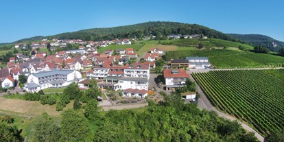 Mountainbike Urlaub - Hotel-Schwerpunkt: Mountainbike & Wandern - Rheinland-Pfalz - Luftbild - Hotel Südpfalz-Terrassen
