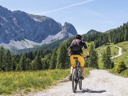 Mountainbike Urlaub - Biketransport: Bergbahnen - Kärnten - nawu_apartments_Mountainbike_Nassfeld_Hermagor_Presseggersee - nawu apartments****, die neue Leichtigkeit des Urlaubs