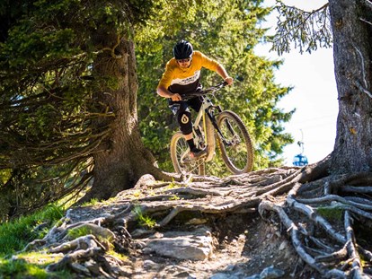 Mountainbike Urlaub - Bikeverleih beim Hotel: Zubehör - MTB-Downhill - The RESI Apartments "mit Mehrwert"