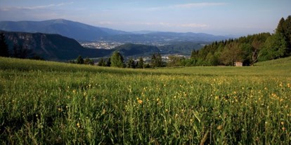 Mountainbike Urlaub - Bikeverleih beim Hotel: Mountainbikes - Aussicht vom Naturgut Gailtal - Naturgut Gailtal