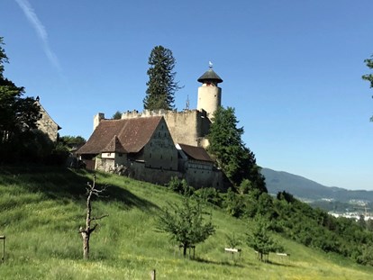 Mountainbike Urlaub - Schweiz - Arlesheim mit seinen 2 Burgen - Hotel Gasthof zum Ochsen