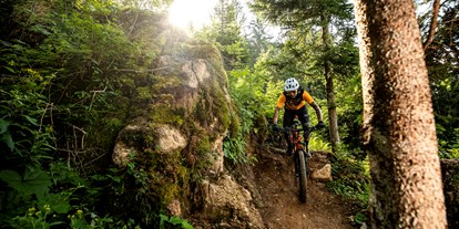 Mountainbike Urlaub - Hotel-Schwerpunkt: Mountainbike & Wellness - Matrei in Osttirol - Biken - Der Gollinger