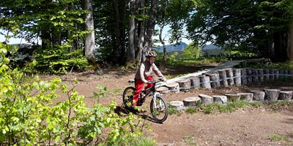 Mountainbike Urlaub - Bikeverleih beim Hotel: E-Mountainbikes - Todtnauberg MTB Übungsstrecke Longohornride - Panorama Lodge Sonnenalm Hochschwarzwald