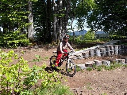 Mountainbike Urlaub - E-Bike Ladestation - Todtnauberg MTB Übungsstrecke Longohornride - Panorama Lodge Sonnenalm Hochschwarzwald
