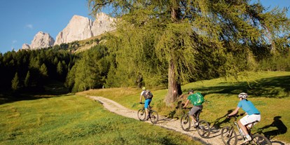 Mountainbike Urlaub - Umgebungsschwerpunkt: am Land - Seis am Schlern - Hotel Elisabeth