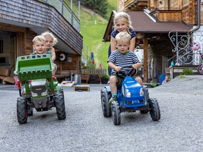 Mountainbike Urlaub - Umgebungsschwerpunkt: Berg - Pinzgau - Viele Freizeitmöglichkeiten für Kinder - Ferienwohnungen Perfeldhof