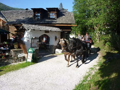 Mountainbike Urlaub - organisierter Transport zu Touren - Pferdekutschen Erlebnisfahrten - Hotel GUT Trattlerhof & Chalets****