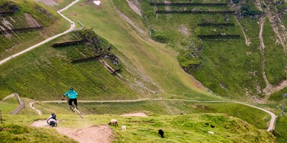 Mountainbike Urlaub - Verpflegung: All-inclusive - https://www.saalbach.com/de - mountainlovers Berghotel*** SeidlAlm