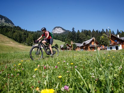 Mountainbike Urlaub - Bikeverleih beim Hotel: E-Mountainbikes - AlpenParks Hagan Lodge Altaussee