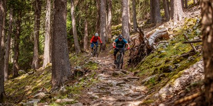 Mountainbike Urlaub - kostenloser Verleih von GPS Geräten - Meran und Umgebung - Biketour - Feldhof DolceVita Resort