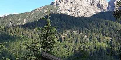 Mountainbike Urlaub - MTB-Region: AT - Tiroler Zugspitz Arena - Tirol - Biketour durch den Klausenwald - Die Lilie - Hotel Garni