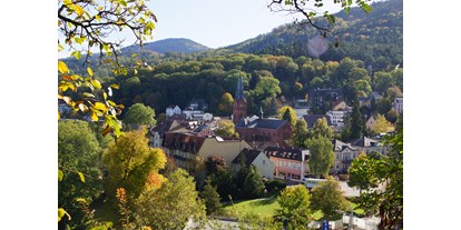 Mountainbike Urlaub - Reparaturservice - Badenweiler - Ortsansicht - Hotel Morgensonne