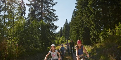 Mountainbike Urlaub - Parkplatz: kostenlos beim Hotel - Seelbach (Ortenaukreis) - Waldhotel am Notschreipass