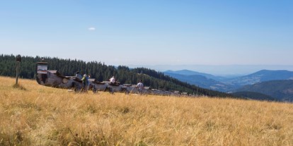 Mountainbike Urlaub - Klassifizierung: 4 Sterne - Stübenwasen Ausblick - Waldhotel am Notschreipass