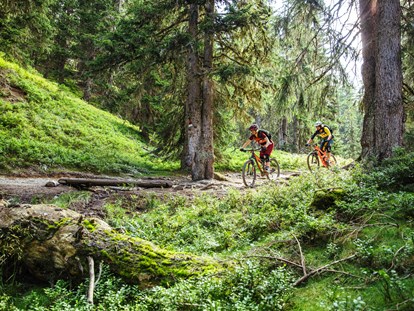 Mountainbike Urlaub - Hotel-Schwerpunkt: Mountainbike & Wellness - Matrei in Osttirol - Hotel Das Neuhaus****S