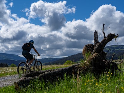 Mountainbike Urlaub - Wellnessbereich - Erkunden Sie entspannt die schöne Natur im und um den Nationalpark Bayerischer Wald. Wir zeigen Ihnen die schönsten Radwege und interessante Haltepunkte mit schöner Aussicht und unberührter Natur. Für den kleinen Hunger zwischendurch bieten wir gegen Aufpreis auch ein Lunchpaket zum Picknick an.  - Das Reiners