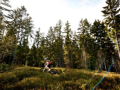 Mountainbike Urlaub - Wellnessbereich - Erkunden Sie mit dem MTB die wundervolle Natur direkt vor der Haustür - Das Reiners